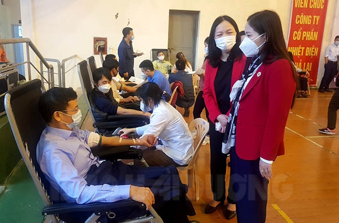 Người lao động Công ty CP Nhiệt điện Phả Lại hiến 257 đơn vị máu